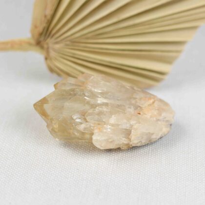 Cytryn Kundalini Kongo 118g 9cm